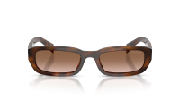 Prada PR B06S 20D90P 53-19 Juniper Tortoise