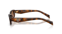 Prada PR B06S 20D90P 53-19 Juniper Tortoise