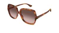 Chloé CH0388S 002 59-17 Havana