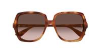 Chloé CH0388S 002 59-17 Havana