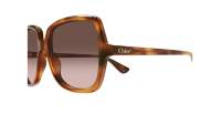 Chloé CH0388S 002 59-17 Havana