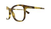 Chloé CH0393O 002 54-17 Havana