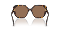Dolce & Gabbana DG4569 502/73 54-18 Havana