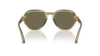 Dolce & Gabbana DG4567 3480/3 52-19 Transp Green On Striped Green
