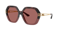 Dolce & Gabbana DG6210 349369 56-16 Burgundy Havana Gradient