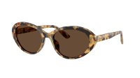 Dolce & Gabbana DG4570 512/73 53-18 Yellow Havana
