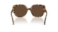 Dolce & Gabbana DG4569 512/73 54-18 Yellow Havana