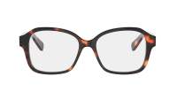 CELINE Mini triomphe CL50192I 052 53-16 Dark havana