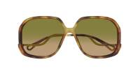 Chloé Wavy CH0404S 002 60-12 Havana