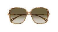Chloé CH0396S 003 57-15 Havana