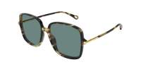 Chloé CH0396S 002 57-15 Havana