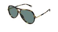 Chloé CH0395S 002 59-11 Havana