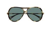 Chloé CH0395S 002 59-11 Havana