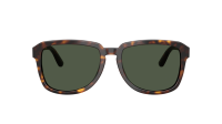 Dolce & Gabbana DG4566 502/9A 56-18 Havana