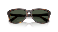 Dolce & Gabbana DG4566 502/9A 56-18 Havana