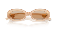 Dolce & Gabbana DG4537 308993 53-19 Opal Brown
