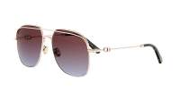 DIOR PETIT CD A1U D0D2 56-16 Rose