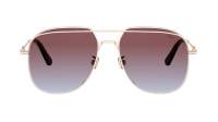 DIOR PETIT CD A1U D0D2 56-16 Rose