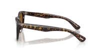 Oliver peoples Arilss OV5632SU 174153 50-21 Atago Tortoise