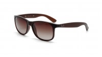 Ray-Ban Andy RB4202 6073/13 55-17 Marrone