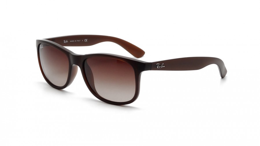 Ray-Ban RB 4202 Andy 6073/13 Brun Verres dégradés Large