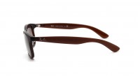 Ray-Ban Andy RB4202 6073/13 55-17 Marrone