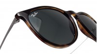 Sunglasses Ray-Ban Erika Tortoise RB4171 54-18 stock | Price 65,79 € Visiofactory