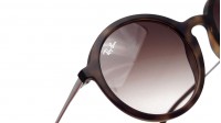 Sunglasses Ray-Ban RB4222 865/13 50-21 Tortoise Medium Gradient