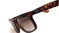 Ray-Ban Justin RB4165 865/T5 54-16 Smeđa