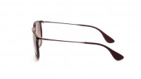 Ray-Ban Erika RB4171 710/T5 54-18 Marrom