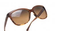Maui Jim Starfish HS744 01T 56-15 Marrom