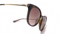 Guess GU7503 52F 52-20 Żółw