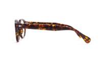 Moscot Lemtosh LEMTOSH 46 TORTOISE DEM. Żółw
