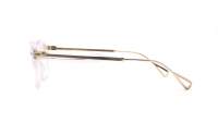 Moscot LEMTOSH 46 CRYSTAL/GOLD DEM.