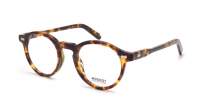 Moscot Miltzen MILTZEN 46 CLASSIC HAVANA DEM. Żółw