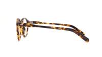 Moscot Miltzen MILTZEN 46 CLASSIC HAVANA DEM. Żółw