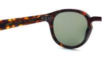 Moscot LEMTOSH SUN 49 TORTOISE G15