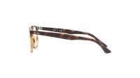 Ray-Ban RX7159 RB7159 2012 52-20 Escama