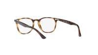 Ray-Ban RX7159 RB7159 2012 52-20 Escama