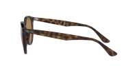 Ray-Ban RB4305 710/83 53-19 Escama