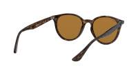 Ray-Ban RB4305 710/83 53-19 Escama