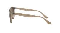 Ray-Ban RB4305 6166/13 53-19 Bege