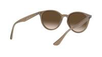 Ray-Ban RB4305 6166/13 53-19 Bege