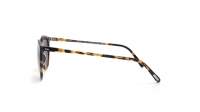 Oliver Peoples O’Malley Sun Tortoise OV5183S 1407P2 48-22 Small Polarized