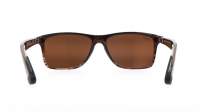 Maui Jim Onshore H798-01 Marrom