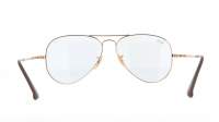 Ray-Ban RB3689 001/T3 58-14 Or Solid Evolve Medium Photochromiques