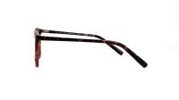 Opal OWII275 C28 48-19 Escama