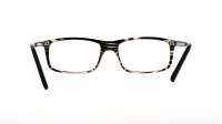 Opal OWII146 C23 53-17 Tartaruga