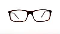 Opal OWII146 C28 53-17 Tartaruga