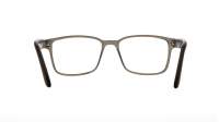 Opal OWII276 C93 56-17 Siva